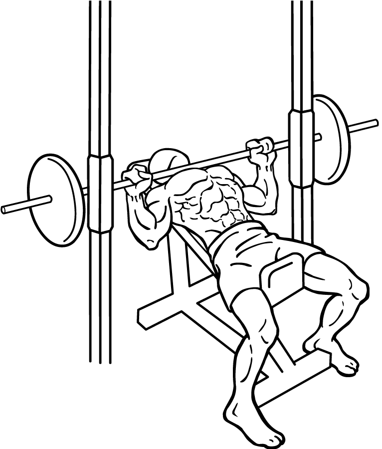 mejores ejercicios para pecho; ejercicios para pecho; press inclinado, press inclinado barra smith; Smith machine